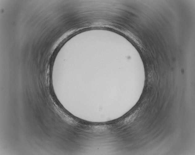 X0000060581126200511241334