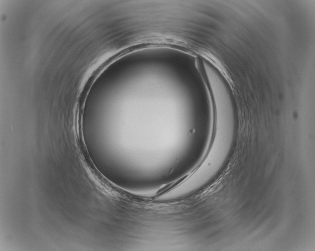 X0000060581128200511241334