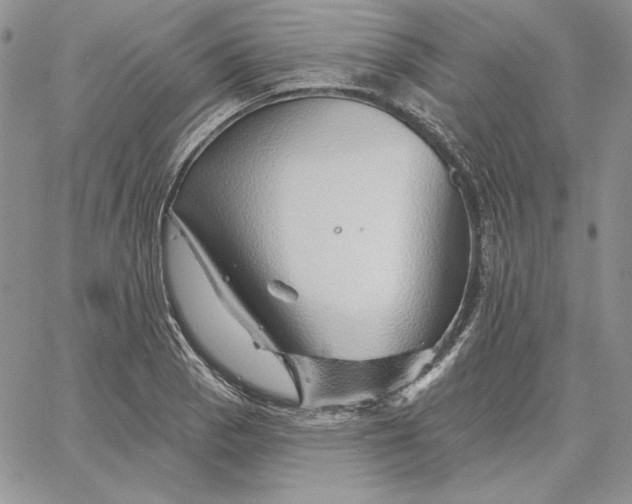 X0000060581129200511241334