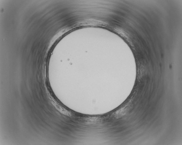 X0000060581130200511241334