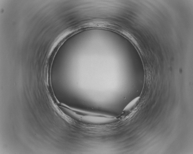 X0000060581131200511241334