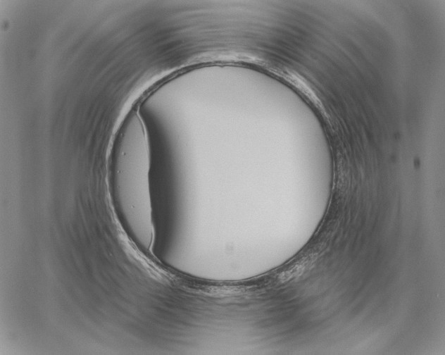 X0000060581132200511241334