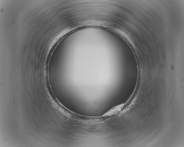 X0000060581133200511241334