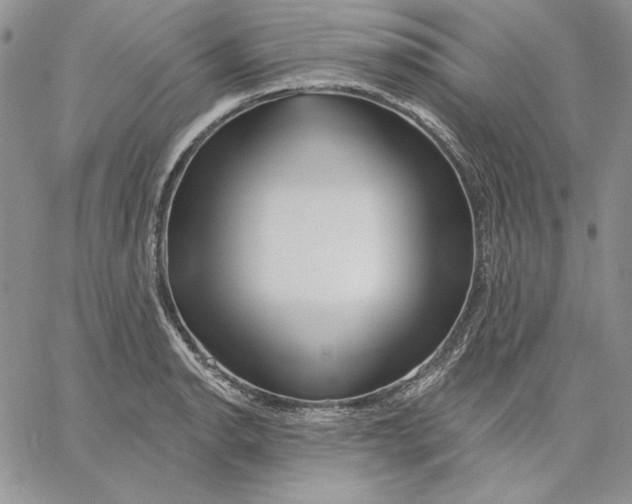 X0000060581134200511241334