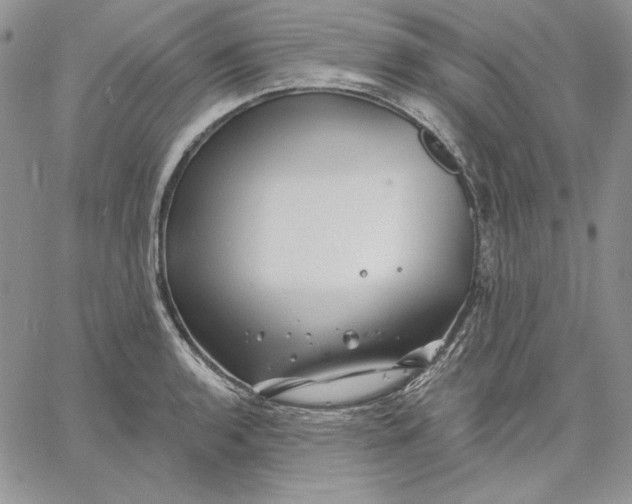 X0000060581136200511241334