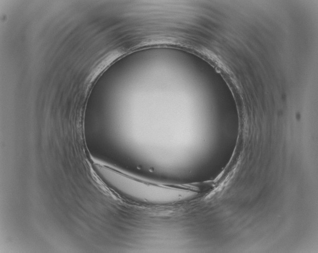 X0000060581137200511241334