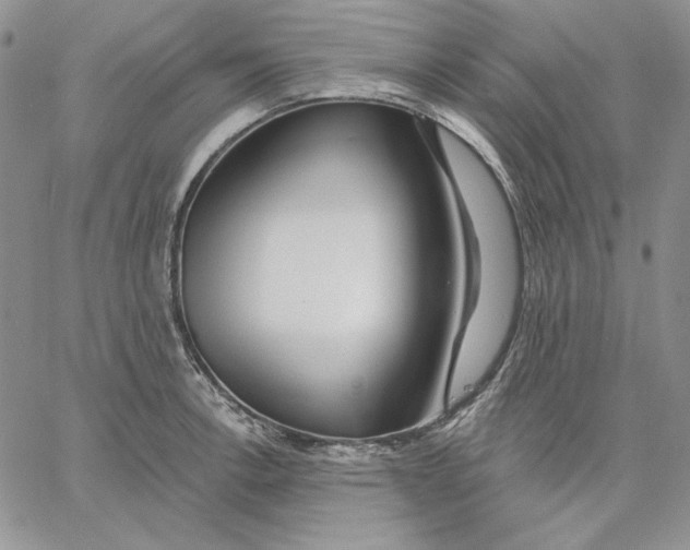 X0000060581138200511241335