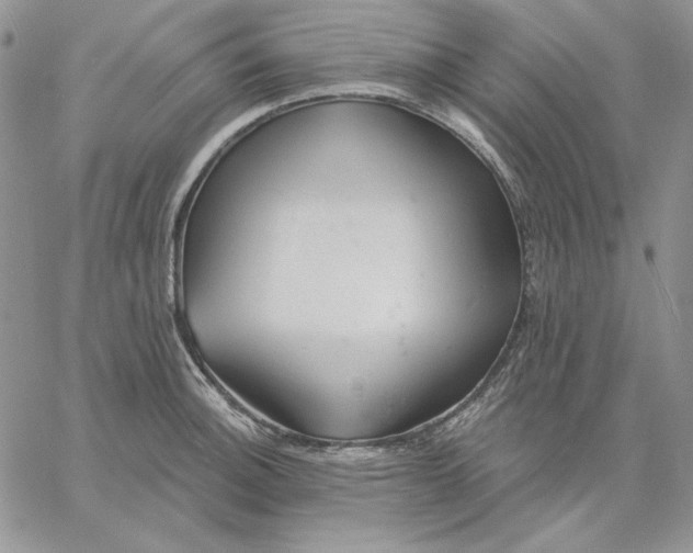 X0000060581140200511241335