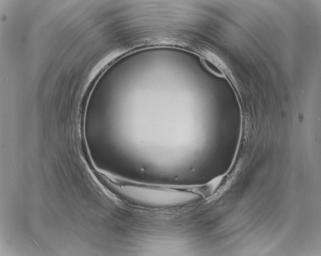 X0000060581141200511241335