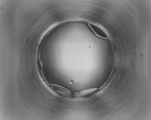 X0000060581142200511241335