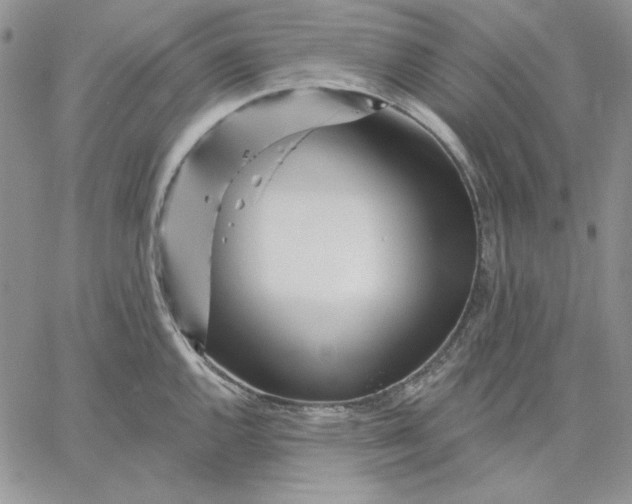 X0000060581144200511241335