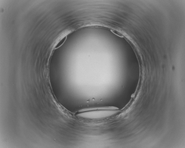 X0000060581145200511241335