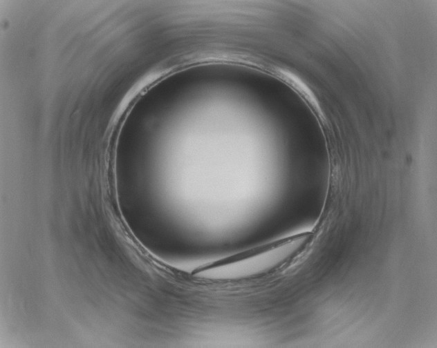 X0000060581146200511241335