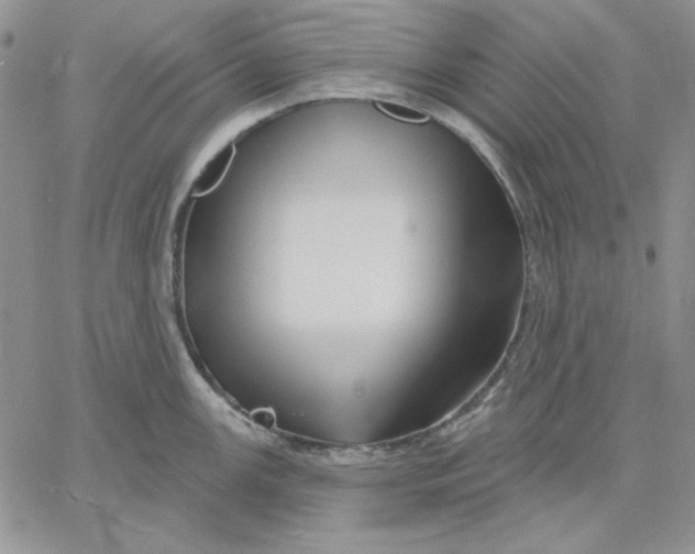 X0000060581147200511241335