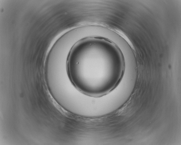 X0000060581148200511241335