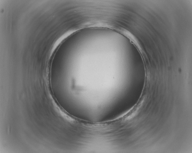 X0000060581149200511241335