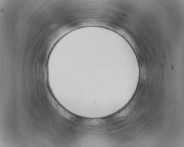 X0000060581150200511241335