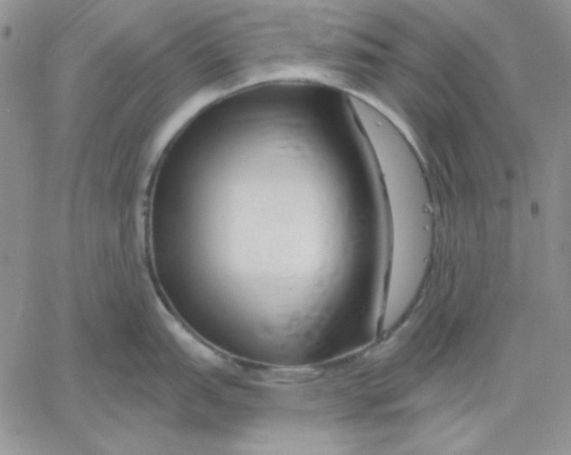 X0000060581151200511241335