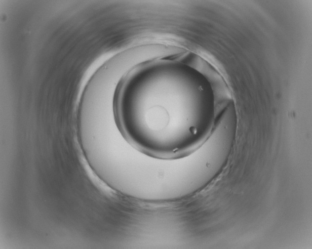 X0000060581152200511241335