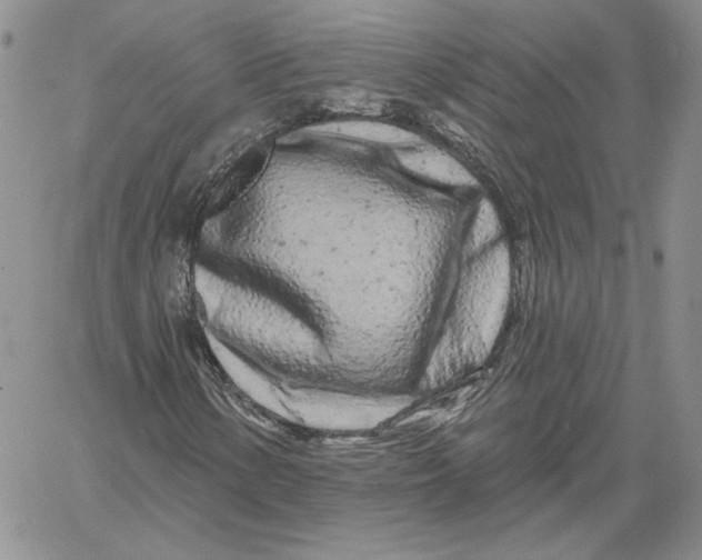 X0000060581154200511241334