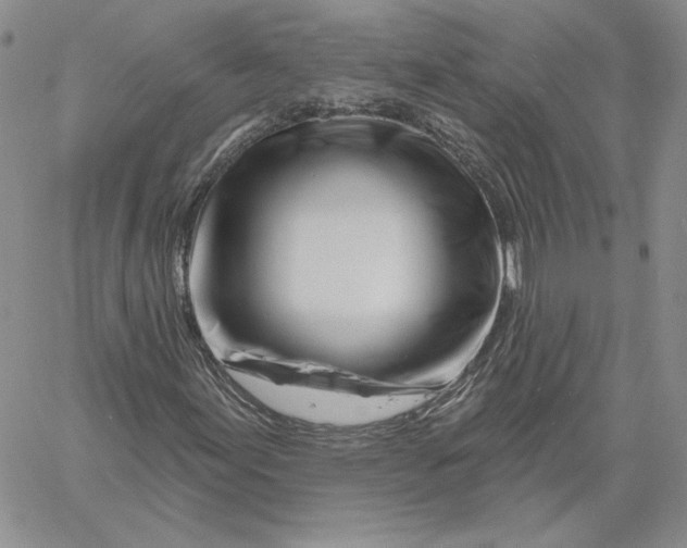 X0000060581155200511241334