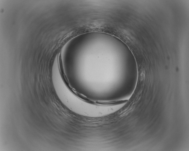 X0000060581156200511241334