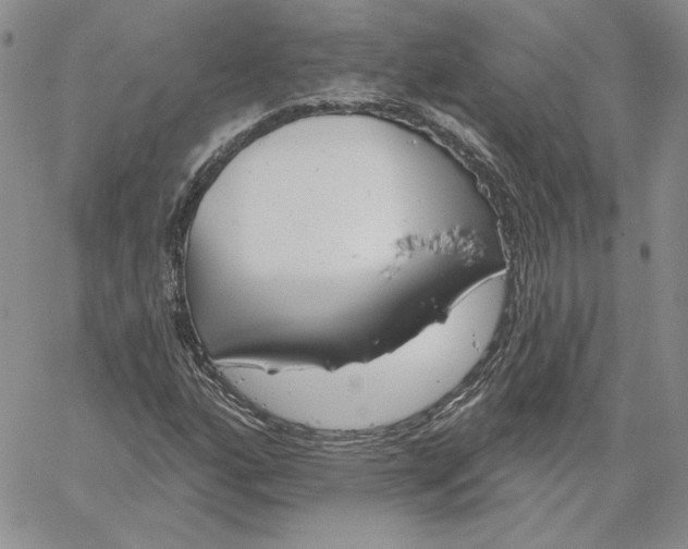 X0000060581160200511241334