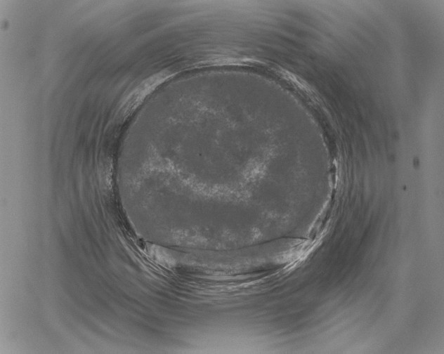 X0000060581161200511241334