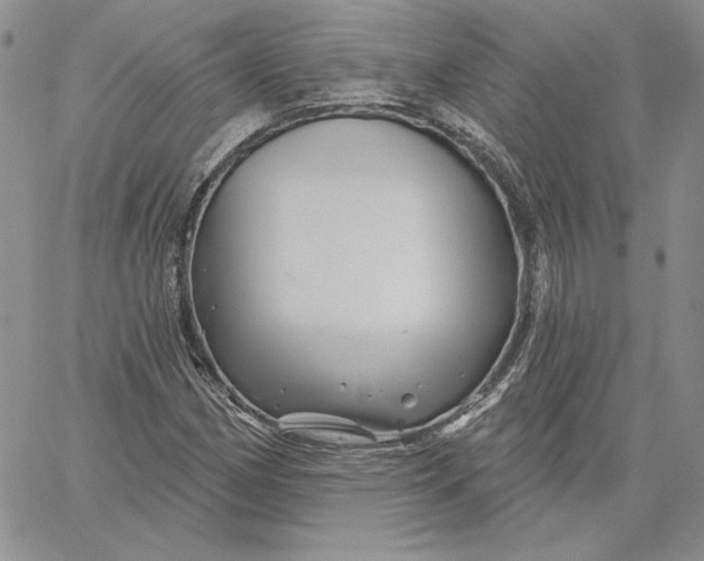 X0000060581162200511241334