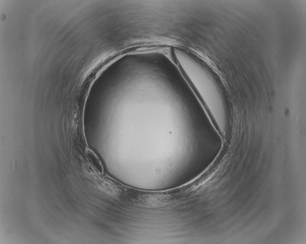 X0000060581163200511241334