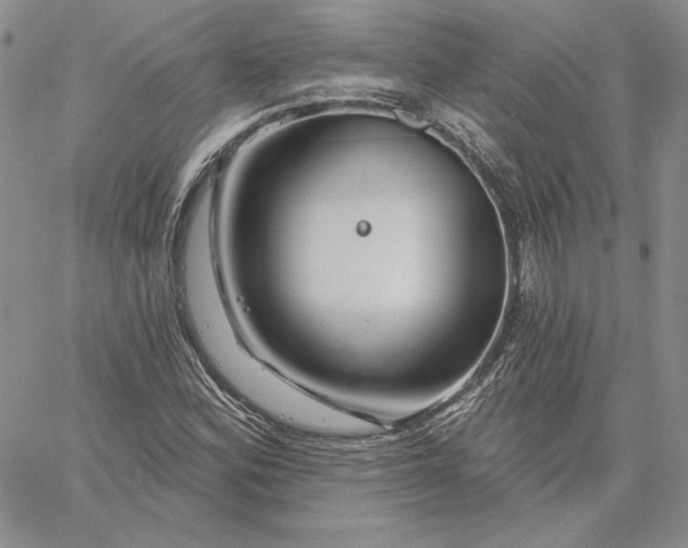 X0000060581164200511241334