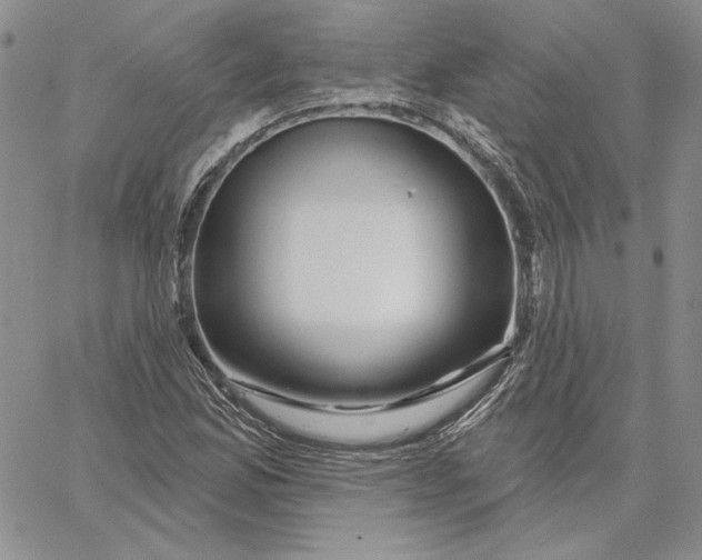 X0000060581165200511241334