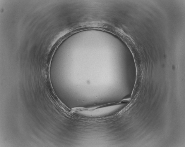 X0000060581166200511241334