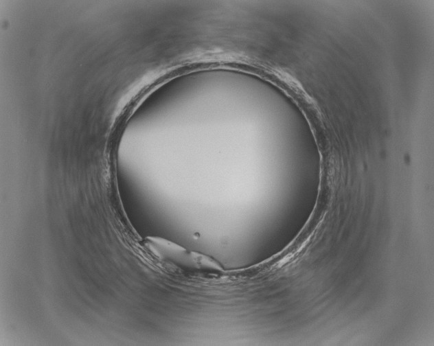 X0000060581167200511241334