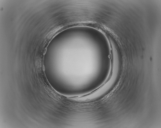 X0000060581169200511241334