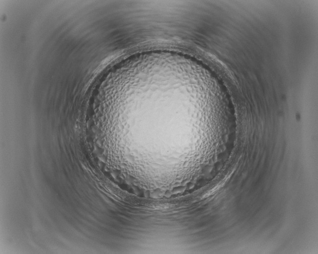 X0000060581170200511241334