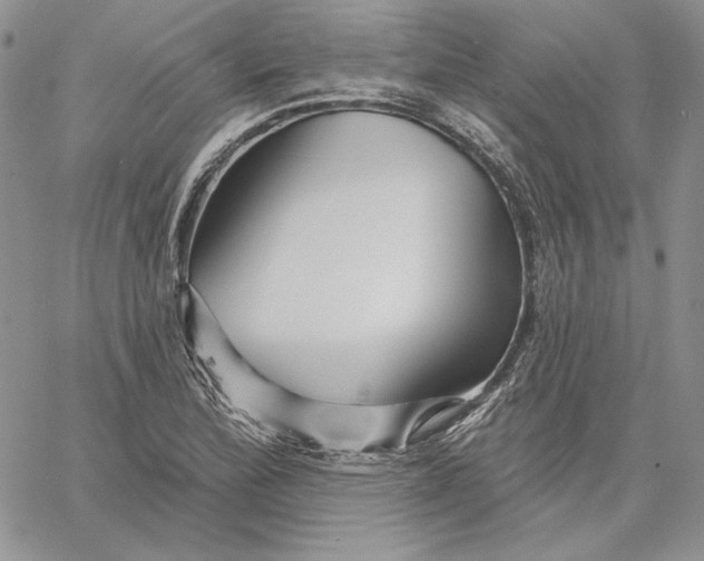 X0000060581172200511241334