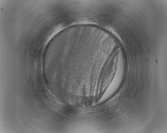 X0000060581173200511241334