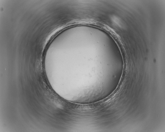 X0000060581174200511241334