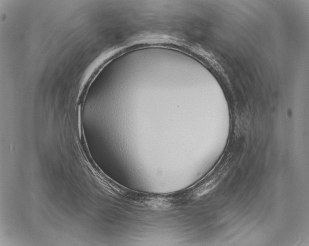 X0000060581175200511241334