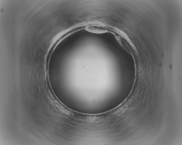 X0000060581176200511241334