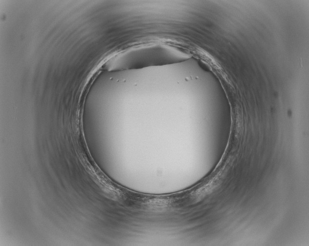 X0000060581178200511241334