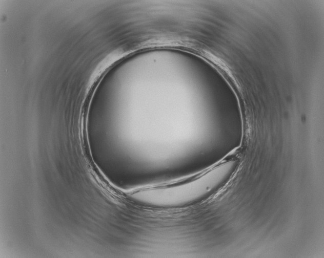 X0000060581179200511241334