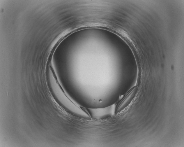 X0000060581181200511241333