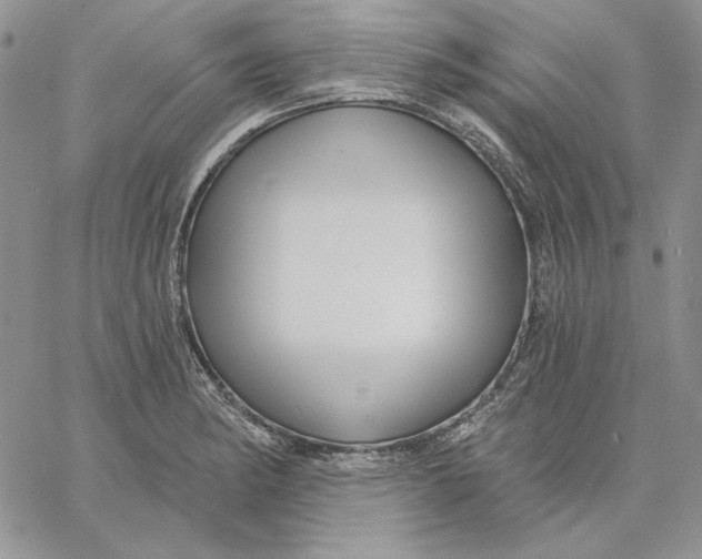 X0000060581182200511241333