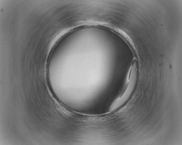 X0000060581183200511241333