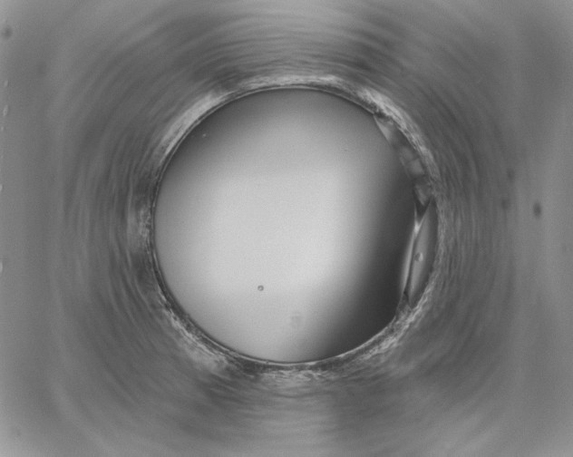 X0000060581185200511241333