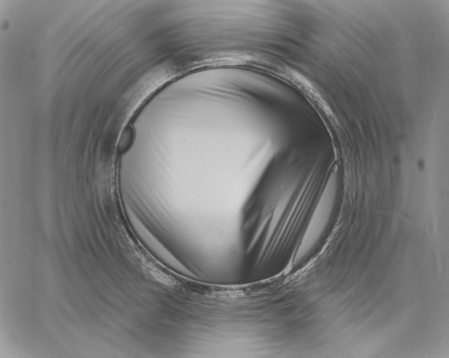 X0000060581186200511241333