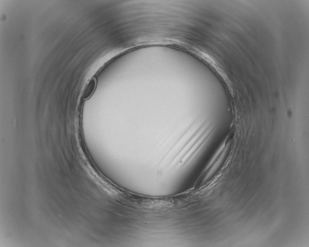 X0000060581187200511241333