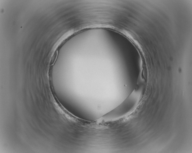 X0000060581189200511241333